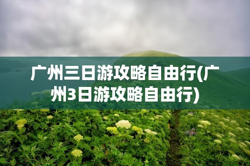 广州三日游攻略自由行(广州3日游攻略自由行)