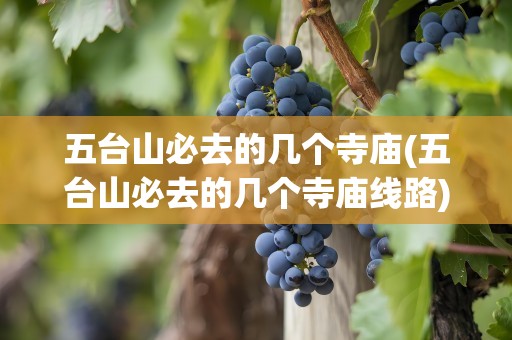 五台山必去的几个寺庙(五台山必去的几个寺庙线路)