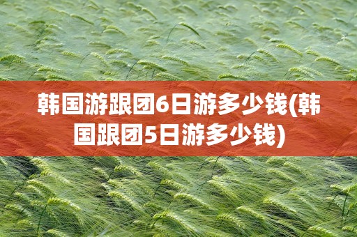 韩国游跟团6日游多少钱(韩国跟团5日游多少钱)