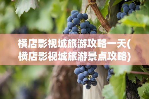 横店影视城旅游攻略一天(横店影视城旅游景点攻略)