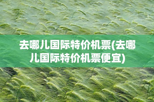 去哪儿国际特价机票(去哪儿国际特价机票便宜)