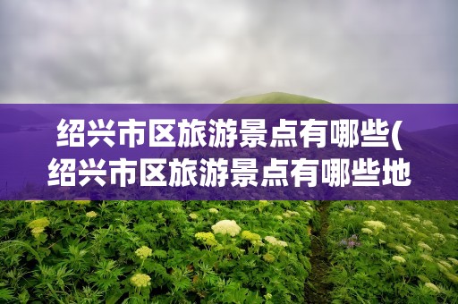 绍兴市区旅游景点有哪些(绍兴市区旅游景点有哪些地方)