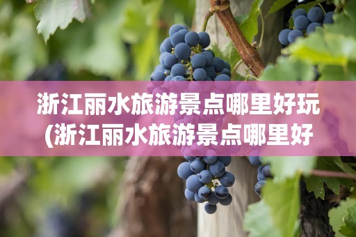 浙江丽水旅游景点哪里好玩(浙江丽水旅游景点哪里好玩的)