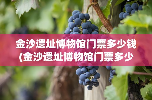 金沙遗址博物馆门票多少钱(金沙遗址博物馆门票多少钱一张)