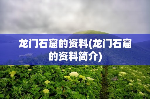 龙门石窟的资料(龙门石窟的资料简介)