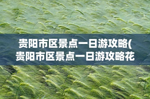 贵阳市区景点一日游攻略(贵阳市区景点一日游攻略花溪夜)
