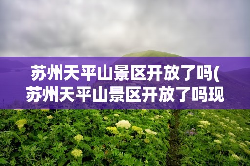 苏州天平山景区开放了吗(苏州天平山景区开放了吗现在)