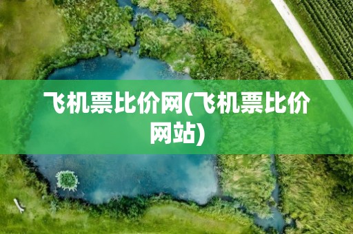 飞机票比价网(飞机票比价网站)