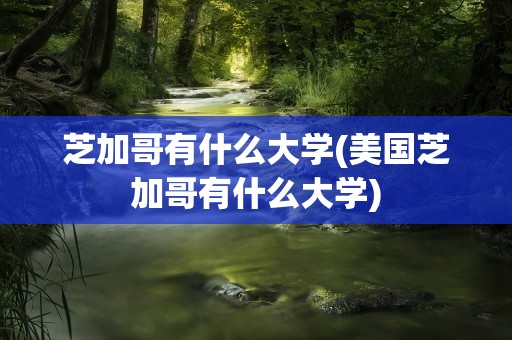 芝加哥有什么大学(美国芝加哥有什么大学)