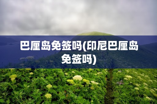 巴厘岛免签吗(印尼巴厘岛免签吗)
