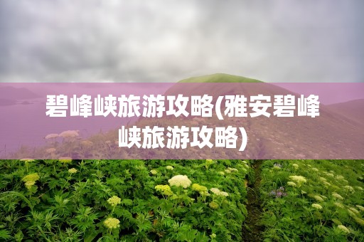 碧峰峡旅游攻略(雅安碧峰峡旅游攻略)