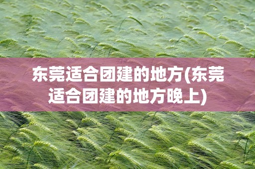 东莞适合团建的地方(东莞适合团建的地方晚上)
