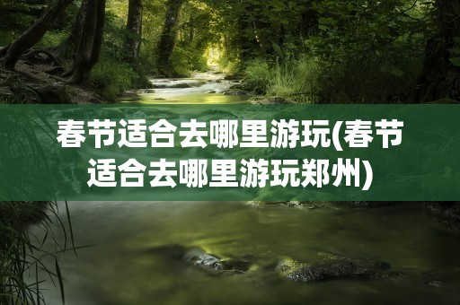 春节适合去哪里游玩(春节适合去哪里游玩郑州)