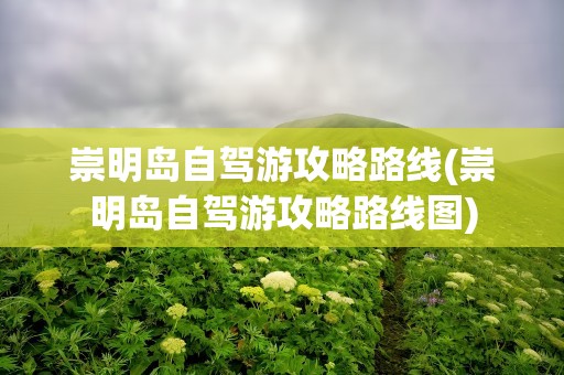 崇明岛自驾游攻略路线(崇明岛自驾游攻略路线图)