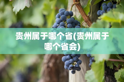 贵州属于哪个省(贵州属于哪个省会)