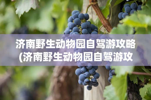 济南野生动物园自驾游攻略(济南野生动物园自驾游攻略图)