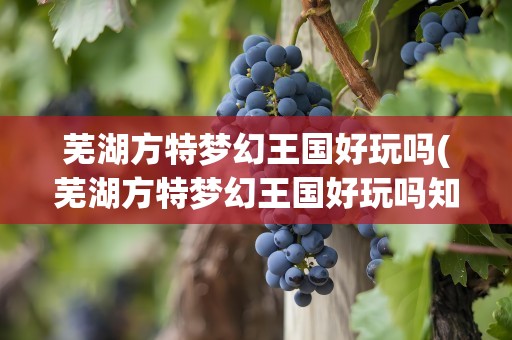芜湖方特梦幻王国好玩吗(芜湖方特梦幻王国好玩吗知乎)
