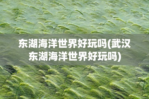 东湖海洋世界好玩吗(武汉东湖海洋世界好玩吗)