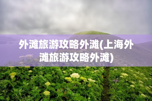 外滩旅游攻略外滩(上海外滩旅游攻略外滩)