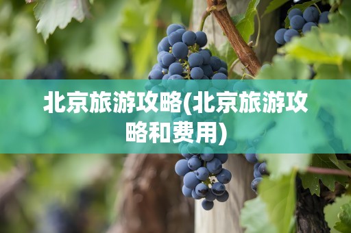 北京旅游攻略(北京旅游攻略和费用)