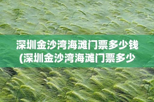 深圳金沙湾海滩门票多少钱(深圳金沙湾海滩门票多少钱一张)