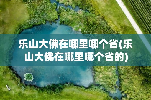 乐山大佛在哪里哪个省(乐山大佛在哪里哪个省的)
