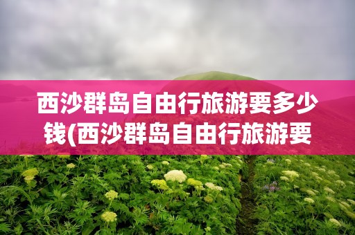 西沙群岛自由行旅游要多少钱(西沙群岛自由行旅游要多少钱一天)