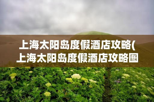 上海太阳岛度假酒店攻略(上海太阳岛度假酒店攻略图)