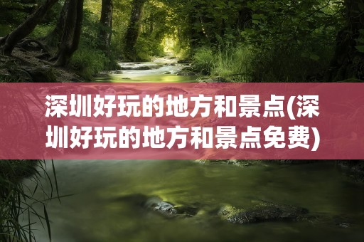深圳好玩的地方和景点(深圳好玩的地方和景点免费)