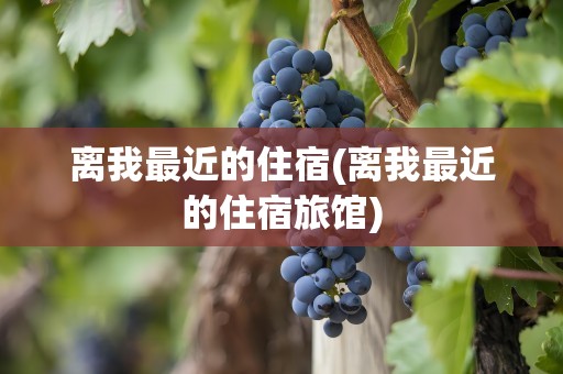 离我最近的住宿(离我最近的住宿旅馆)