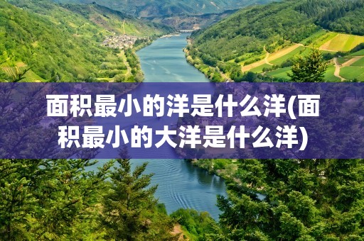 面积最小的洋是什么洋(面积最小的大洋是什么洋)