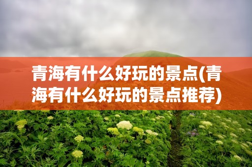 青海有什么好玩的景点(青海有什么好玩的景点推荐)