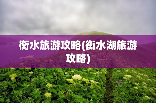 衡水旅游攻略(衡水湖旅游攻略)