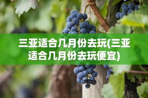 三亚适合几月份去玩(三亚适合几月份去玩便宜)