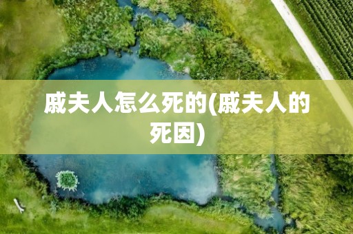 戚夫人怎么死的(戚夫人的死因)