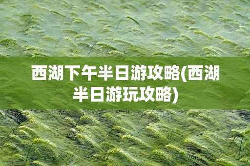 西湖下午半日游攻略(西湖半日游玩攻略)