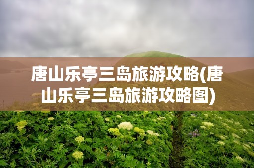 唐山乐亭三岛旅游攻略(唐山乐亭三岛旅游攻略图)