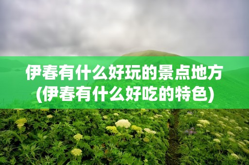 伊春有什么好玩的景点地方(伊春有什么好吃的特色)