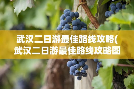 武汉二日游最佳路线攻略(武汉二日游最佳路线攻略图)