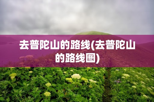 去普陀山的路线(去普陀山的路线图)