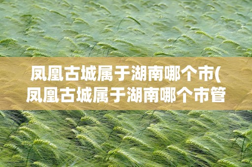 凤凰古城属于湖南哪个市(凤凰古城属于湖南哪个市管)
