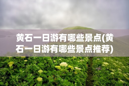 黄石一日游有哪些景点(黄石一日游有哪些景点推荐)
