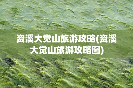 资溪大觉山旅游攻略(资溪大觉山旅游攻略图)