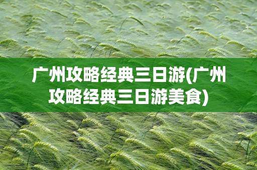 广州攻略经典三日游(广州攻略经典三日游美食)