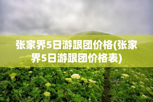 张家界5日游跟团价格(张家界5日游跟团价格表)