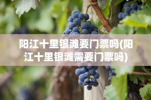 阳江十里银滩要门票吗(阳江十里银滩需要门票吗)