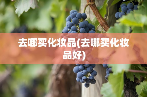 去哪买化妆品(去哪买化妆品好)