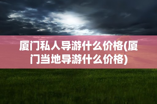厦门私人导游什么价格(厦门当地导游什么价格)
