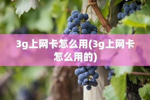 3g上网卡怎么用(3g上网卡怎么用的)