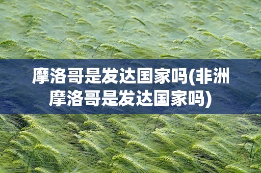 摩洛哥是发达国家吗(非洲摩洛哥是发达国家吗)